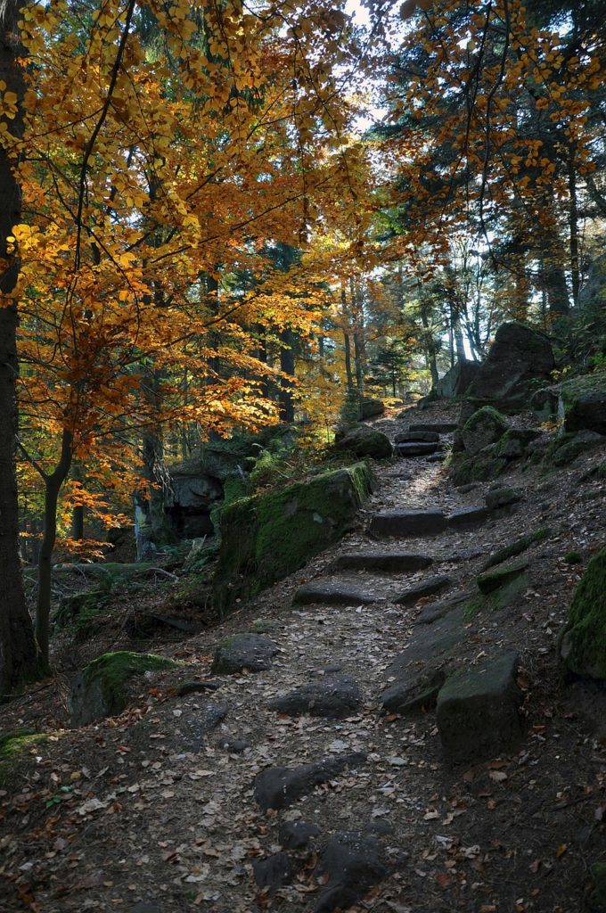 france, landscape, steps-97815.jpg